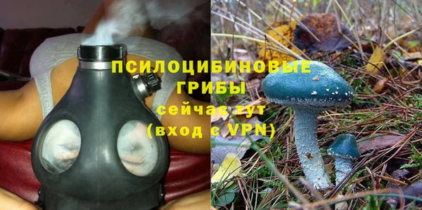 не бодяженный Богородицк