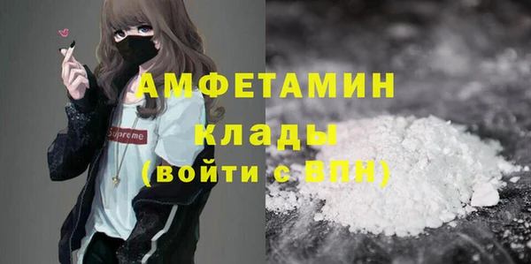 молекула духа Богородск