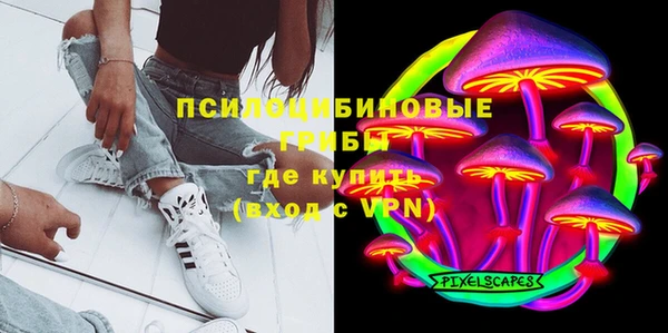молекула духа Богородск