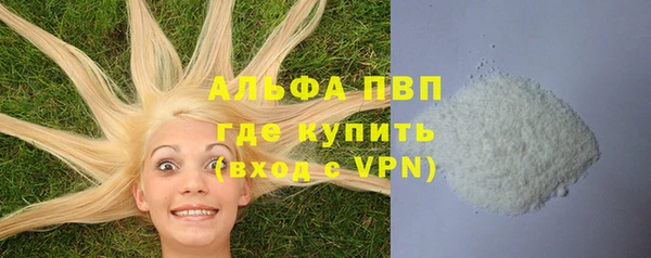 молекула духа Богородск