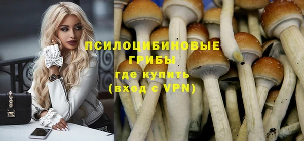 молекула духа Богородск