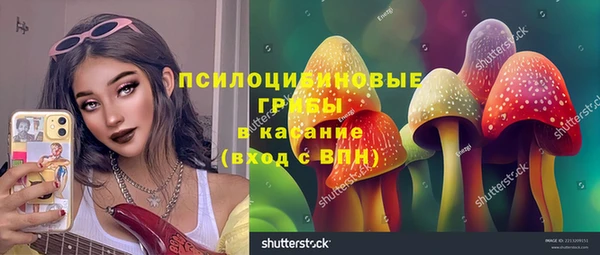 не бодяженный Богородицк