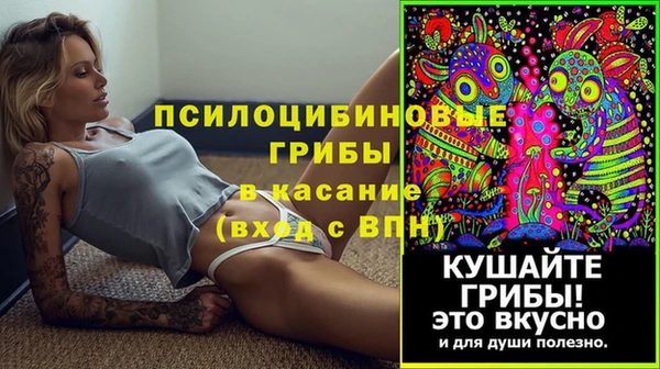 молекула духа Богородск