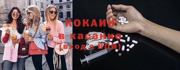 молекула духа Богородск